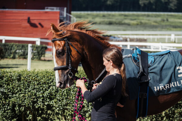 Highland Buddy - Bild 4