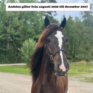 Färsta Fyr